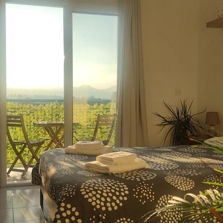 Polis Thalassa Seaside Boutique Beach Apartment מראה חיצוני תמונה