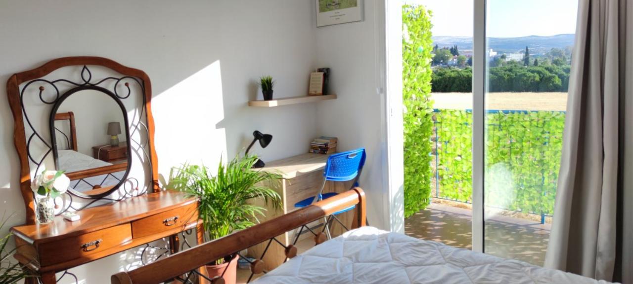 Polis Thalassa Seaside Boutique Beach Apartment מראה חיצוני תמונה