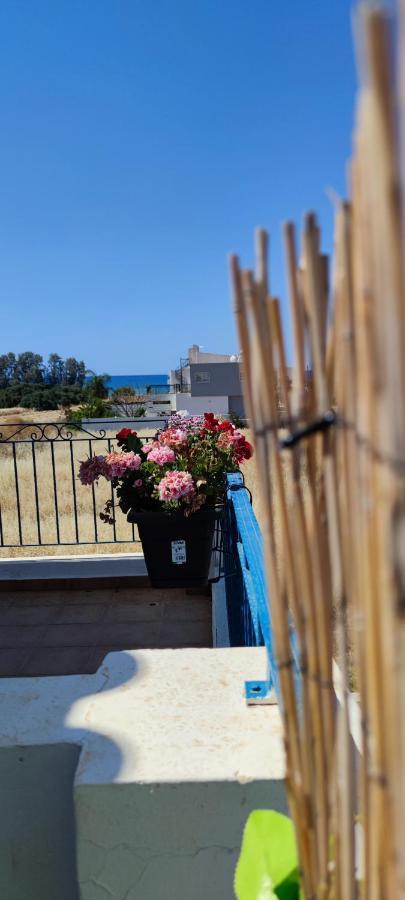 Polis Thalassa Seaside Boutique Beach Apartment מראה חיצוני תמונה