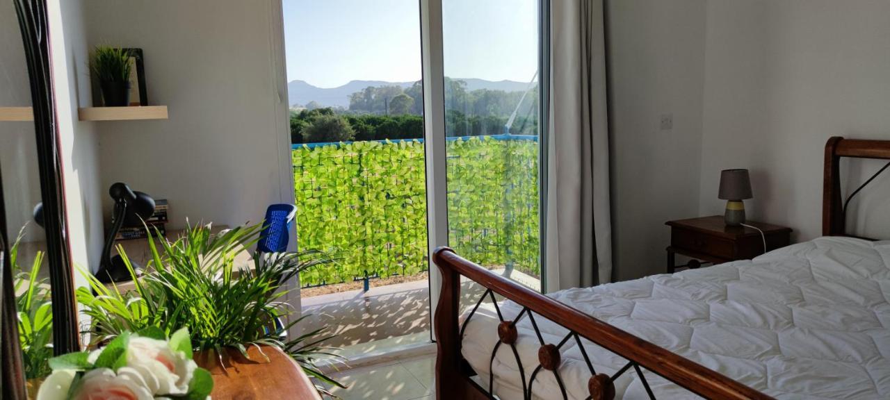Polis Thalassa Seaside Boutique Beach Apartment מראה חיצוני תמונה