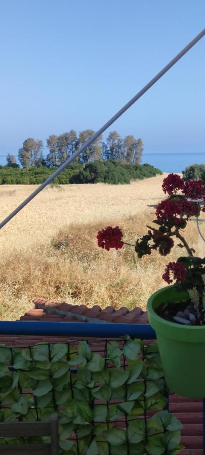 Polis Thalassa Seaside Boutique Beach Apartment מראה חיצוני תמונה