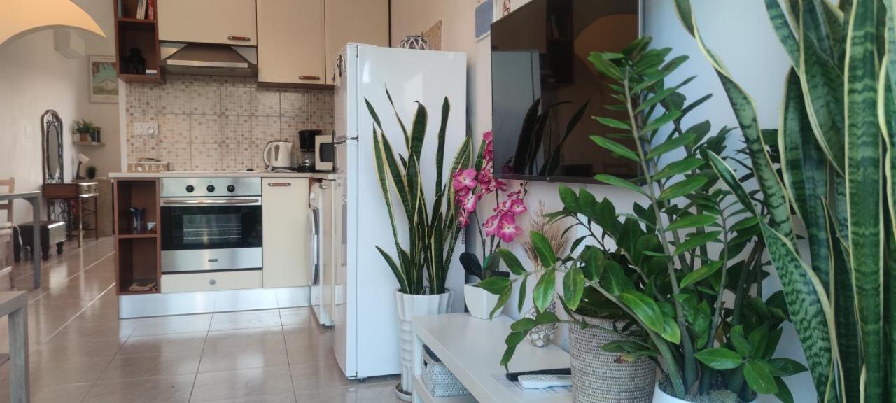Polis Thalassa Seaside Boutique Beach Apartment מראה חיצוני תמונה