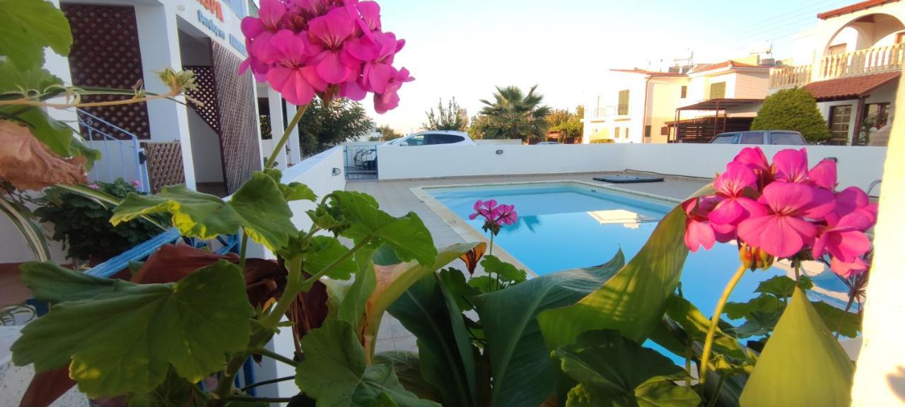 Polis Thalassa Seaside Boutique Beach Apartment מראה חיצוני תמונה
